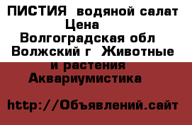 ПИСТИЯ (водяной салат) › Цена ­ 30 - Волгоградская обл., Волжский г. Животные и растения » Аквариумистика   